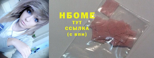 прущие грибы Аркадак