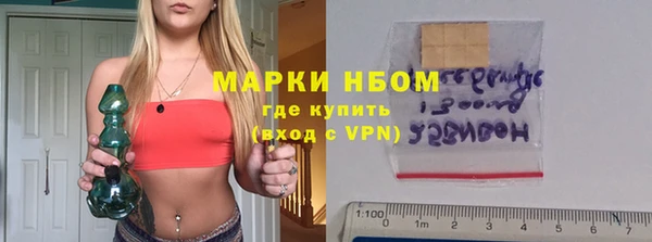 прущие грибы Аркадак