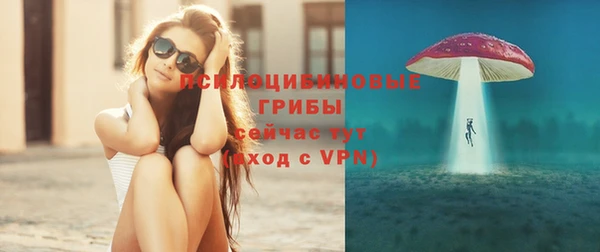 прущие грибы Аркадак