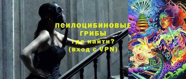 прущие грибы Аркадак