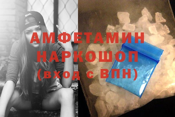 прущие грибы Аркадак