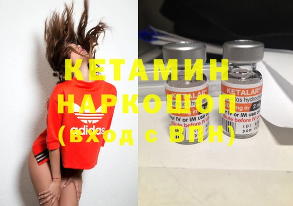 прущие грибы Аркадак