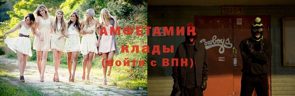 прущие грибы Аркадак